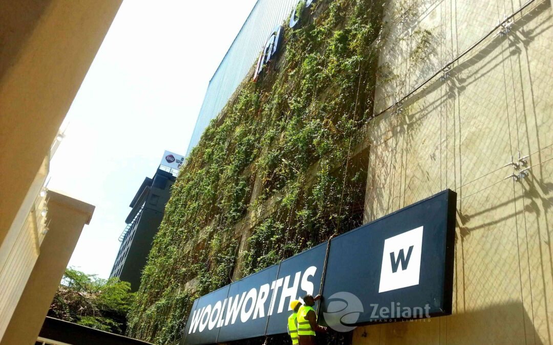 WoolWorths